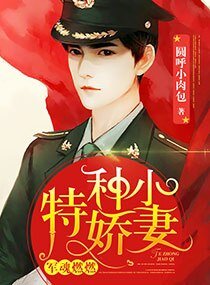 《少帥燃情:吾妻很美》