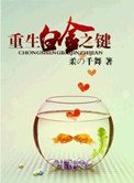《重生白金之鍵》