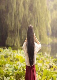 《紅顏若蓮》