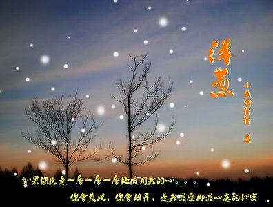 《洋蔥(修改版)》
