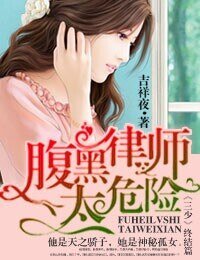 《一路上有你,律師老公太危險/腹黑律師太危險》