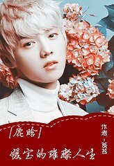 《(娛樂圈同人)鹿晗—媛寶的璀璨人生》