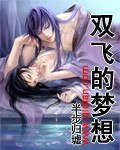 《雙飛的夢想》
