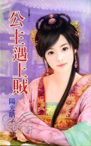 《公主遇上賊(賊保鏢之一)》