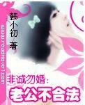 《非誠勿婚:老公不合法》