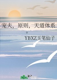 《寵夫,原則,天道體系》