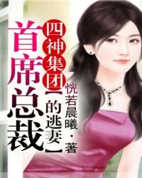 《四神集團①:首席總裁的逃妻》