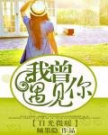 日光微暖：我曾遇見你