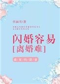 《閃婚容易離婚難》