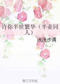 《(BG/獨孤天下同人)許你半世繁華(半壺同人)》