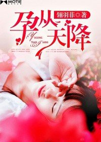 《孕從天降》