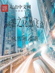 《網遊之花叢飛盜》