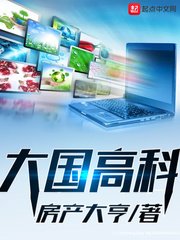《大國高科》