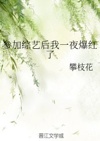 《參加綜藝後我一夜爆紅了》