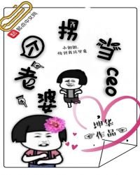 《拐個老婆當ceo》