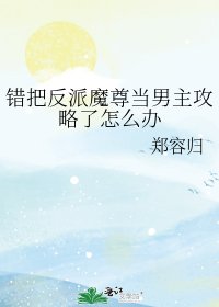 《錯把反派魔尊當男主攻略了怎麼辦》