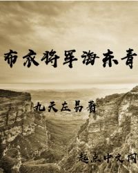 《布衣將軍海東青》