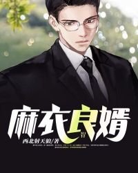 《麻衣良婿》