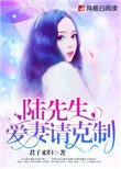 《陸先生,愛妻請剋制》
