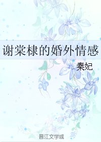 《謝棠棣的婚外情感》