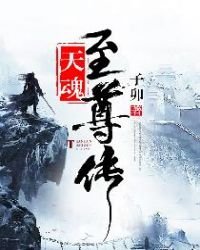《天魂至尊傳》