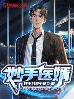 《妙手醫婿》