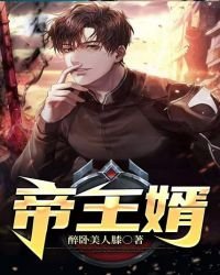 《帝王婿》