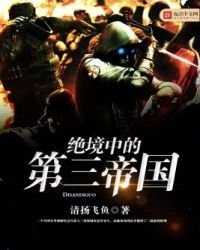 《絕境中的第三帝國》