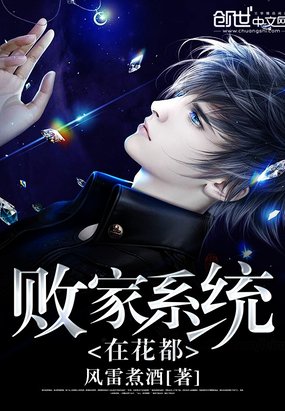 《敗家系統在花都》