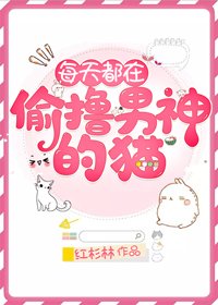 《每天都在偷擼男神的貓》