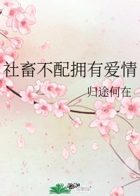 《(綜漫同人)社畜不配擁有愛情》