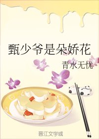 《甄少爺是朵嬌花》