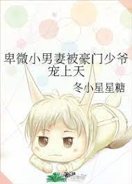 《卑微小男妻被豪門少爺寵上天》