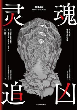 《靈魂追兇(出書版)》