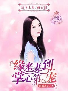 《緣來妻到,掌心第一寵》