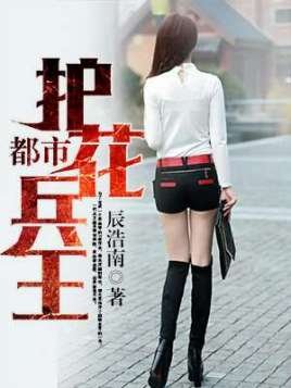 《都市護花兵王》