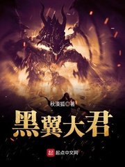 《黑翼大君》
