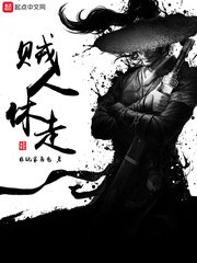 《賊人休走》