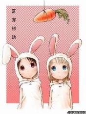 《夏亦初揚》