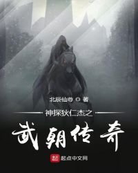 《神探狄仁傑之武朝傳奇》