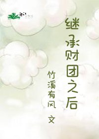 《繼承財團之後》