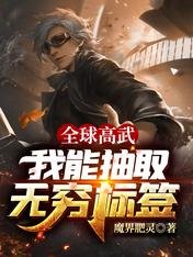 《(全球高武同人)全球高武:我能抽取無窮標籤》