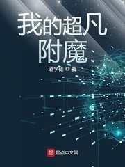《我的超凡附魔》