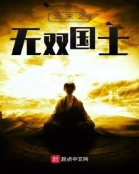 《北宋之無雙國士》