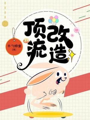 頂流改造