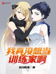 《(綜漫同人)我真沒想當訓練家啊》