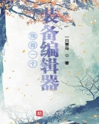 《我有一個裝備編輯器》