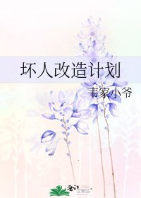 《壞人改造計劃》