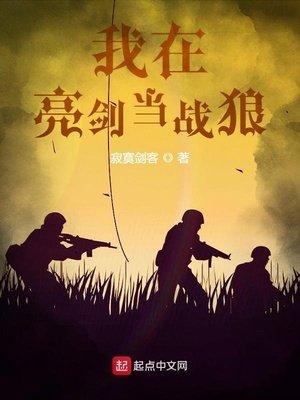 《我在亮劍當戰狼》