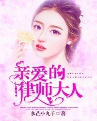 《親愛的律師大人》